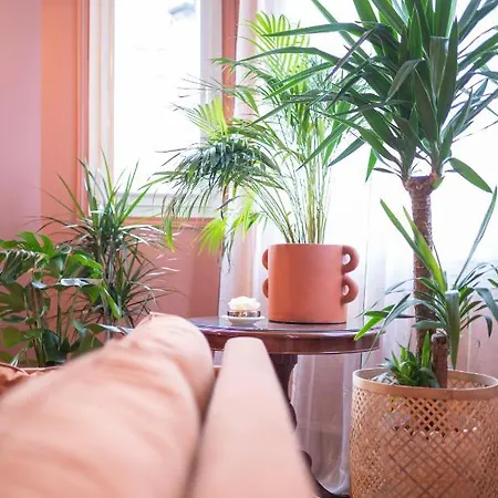 New - Dada Hypercentre 6 Personnes 埃佩尔奈