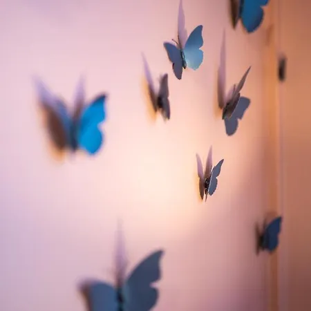 New - Dada Hypercentre 6 Personnes