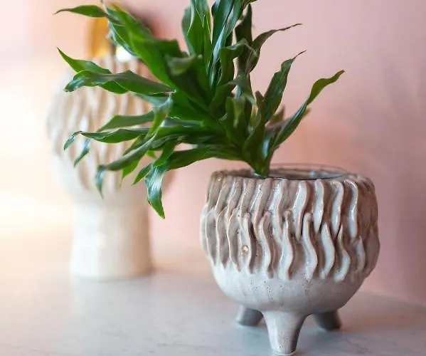 New - Dada Hypercentre 6 Personnes *