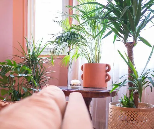 New - Dada Hypercentre 6 Personnes Épernay