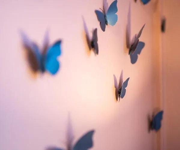 New - Dada Hypercentre 6 Personnes